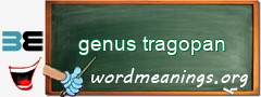 WordMeaning blackboard for genus tragopan